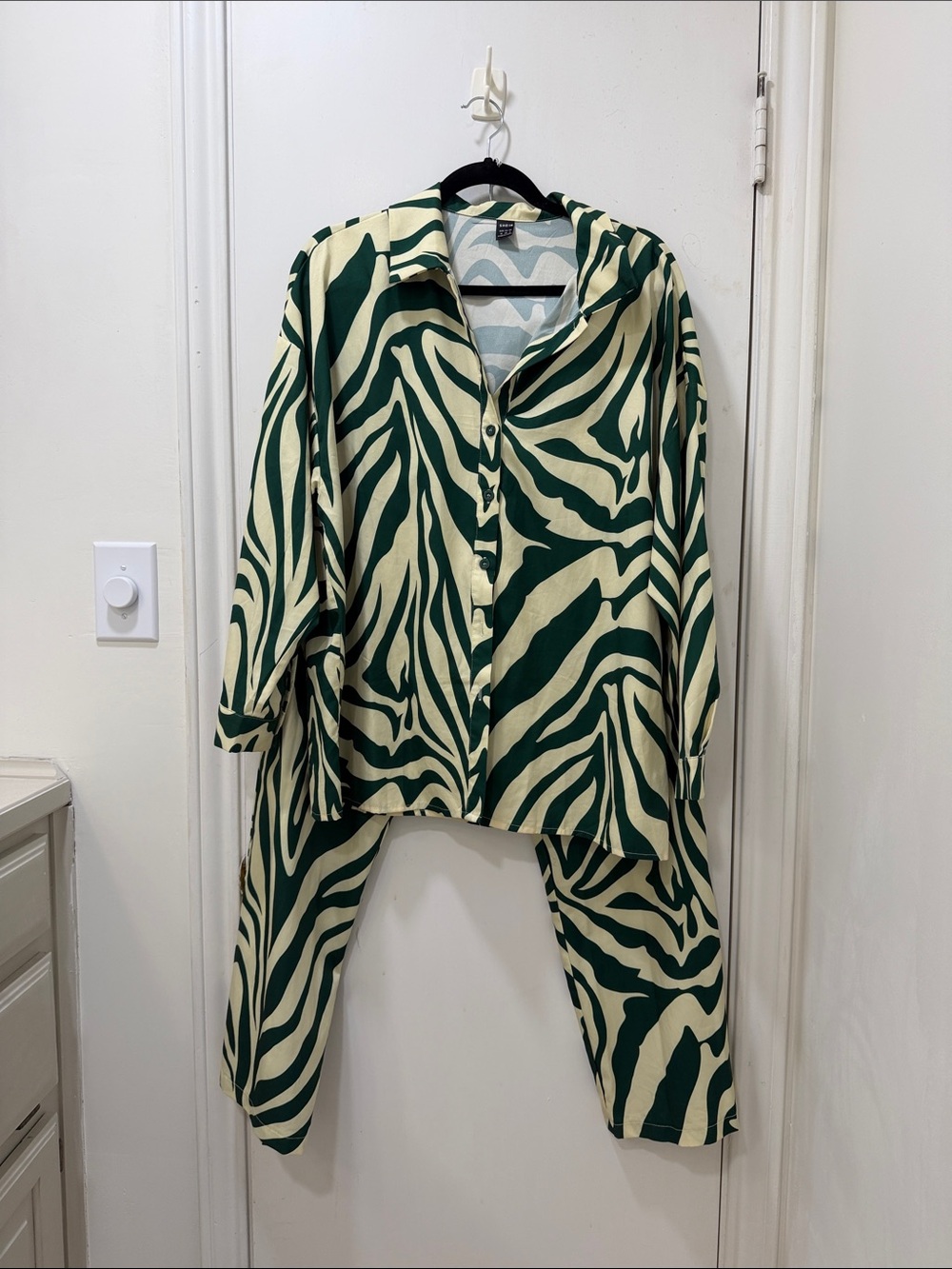 Zara Green and Cream Zebra-Print Button-Up and pants